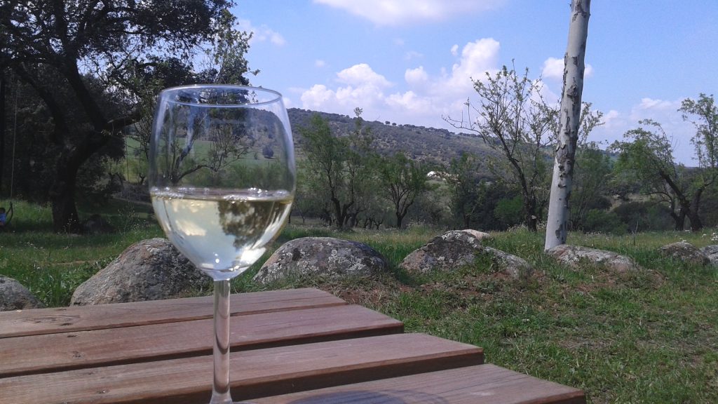 copa de vino en el campo