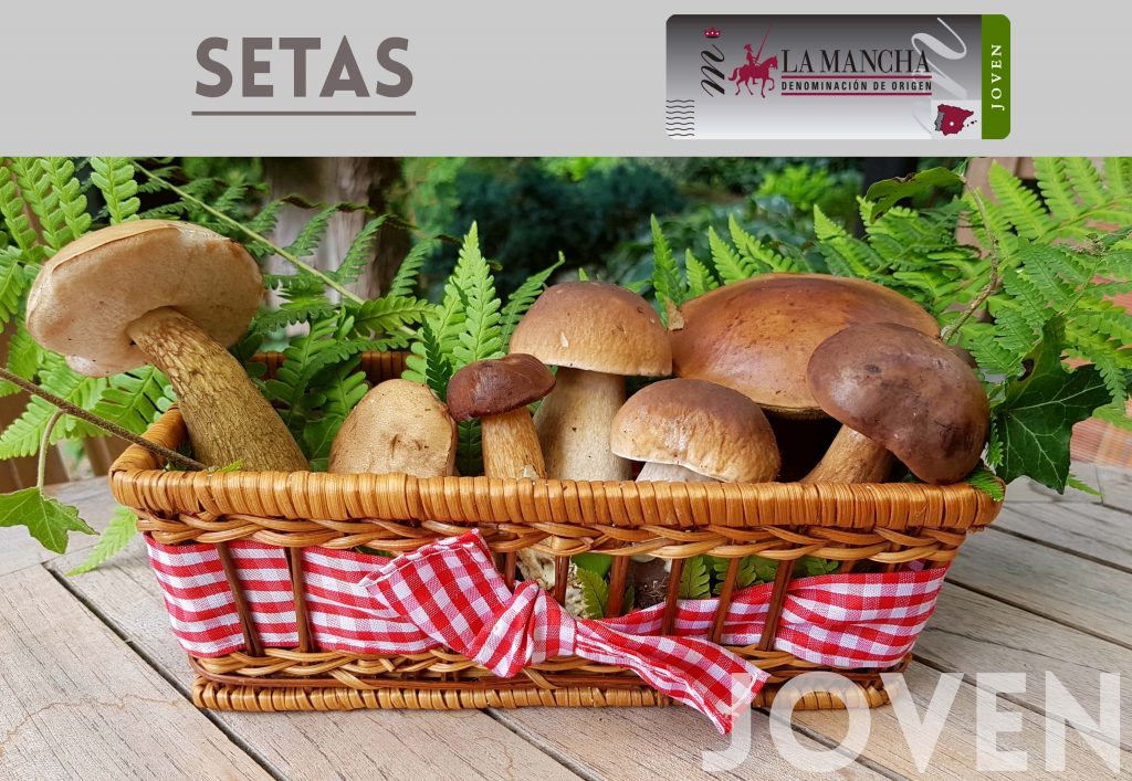 cesta-de-setas