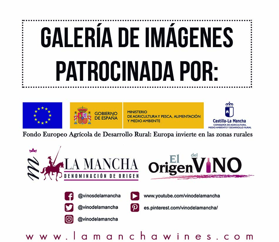 Galería patrocinada - Vinos de La Mancha