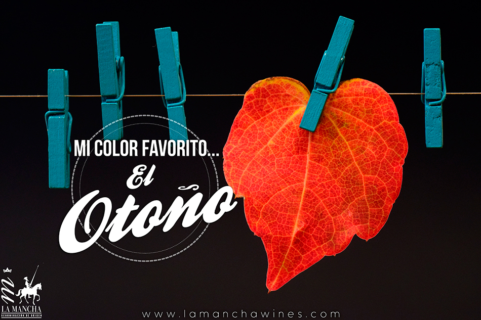 Mi color favorito el otoño - Vinos de La Mancha
