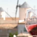 Videocata vino tempranillo de La Mancha