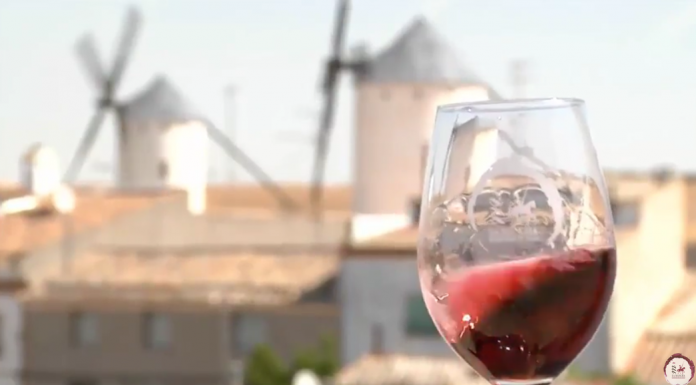Videocata vino tempranillo de La Mancha