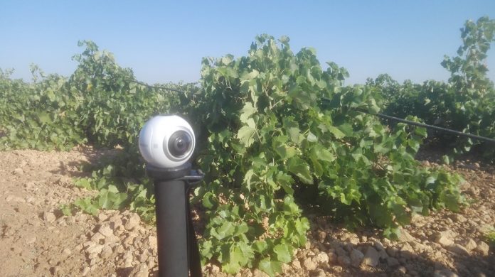 vendimia en 360 en La Mancha