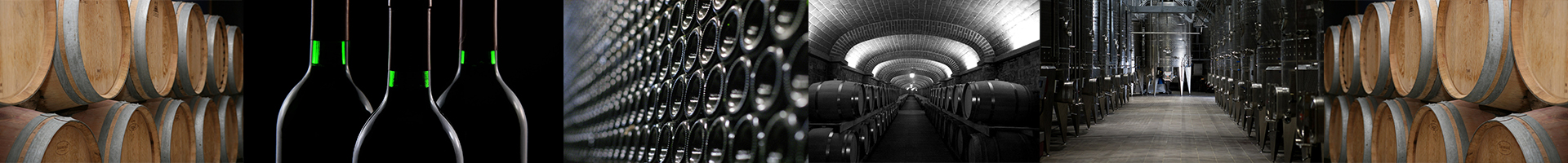 Enoturismo - Directorio de bodegas