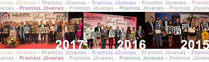 Histórico de Premios Jóvenes Solidarios DO La Mancha