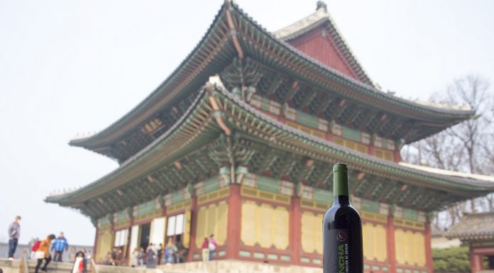 Segunda ocasión que los vinos DO La Mancha visitan Corea del Sur