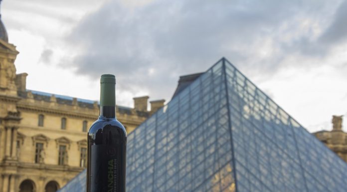 DO La Mancha in Wine París (2)