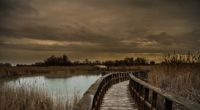 Las Tablas de Daimiel, uno de los tesoros naturales del paisaje