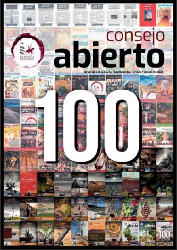 Consejo Abierto 100