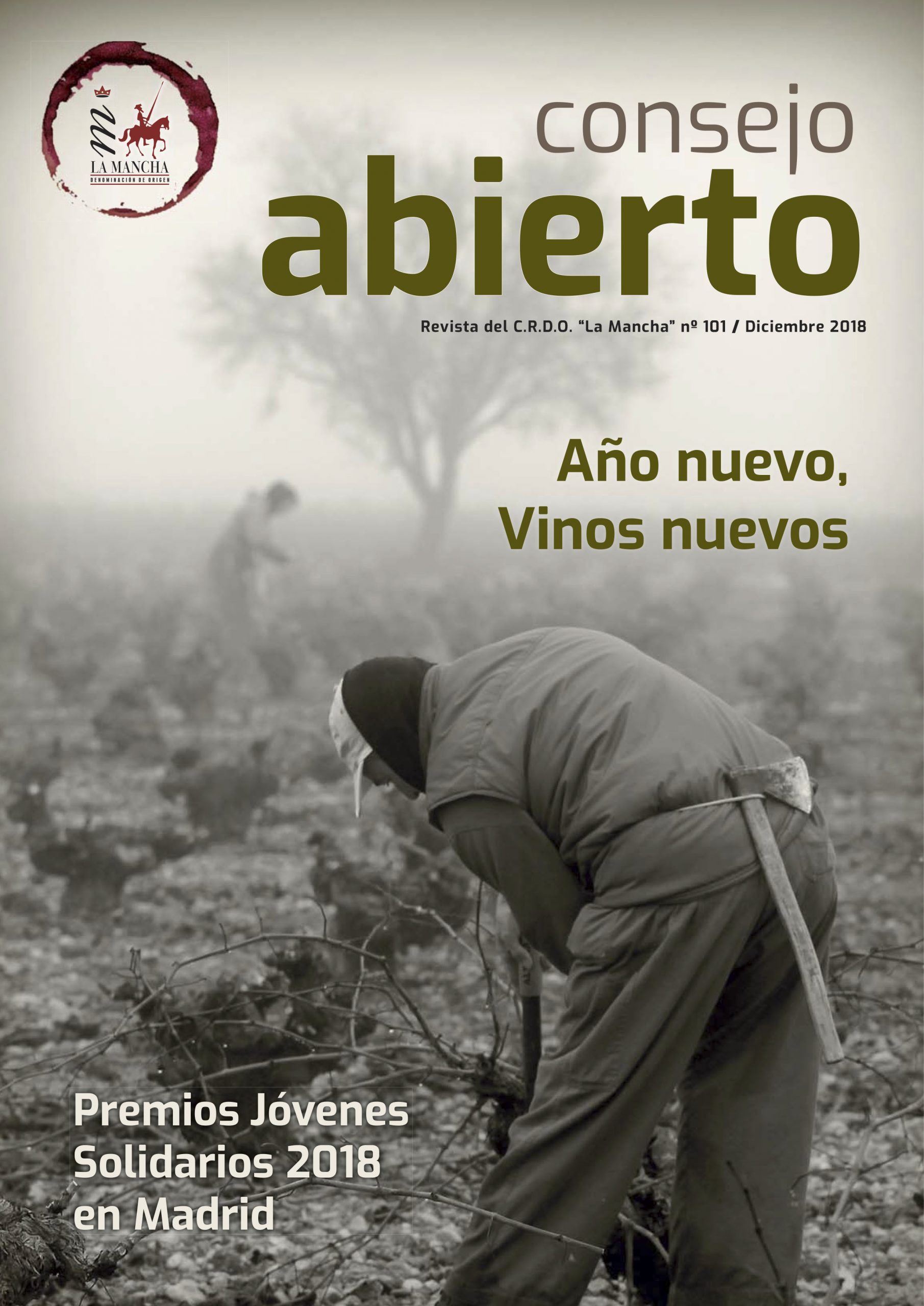 Consejo Abierto 101