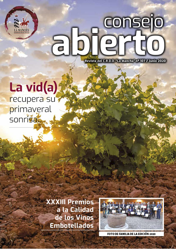 Consejo Abierto 107