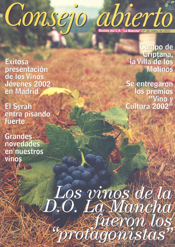 Consejo Abierto 34