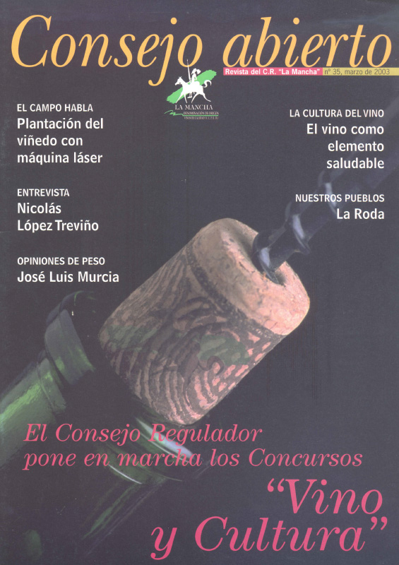 Consejo Abierto 35