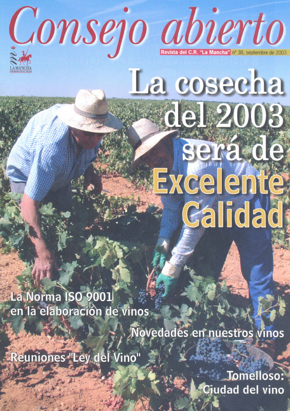 Consejo Abierto 38