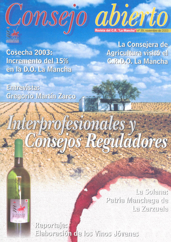 Consejo Abierto 39