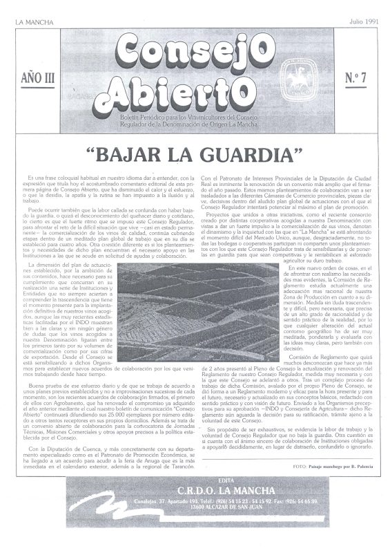 Consejo Abierto número 7