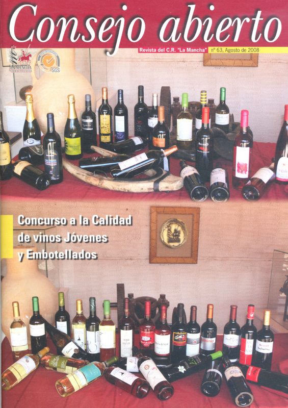 Consejo Abierto 63