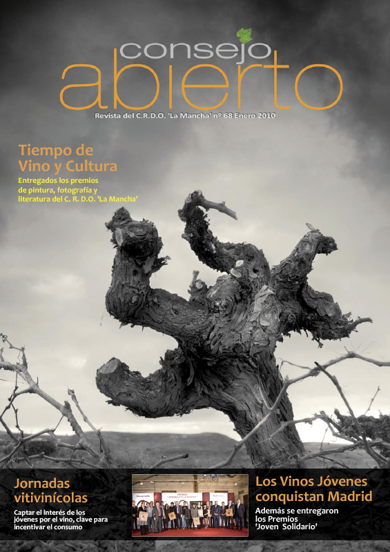 Consejo Abierto 68