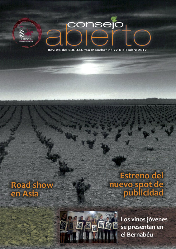 Consejo Abierto 77