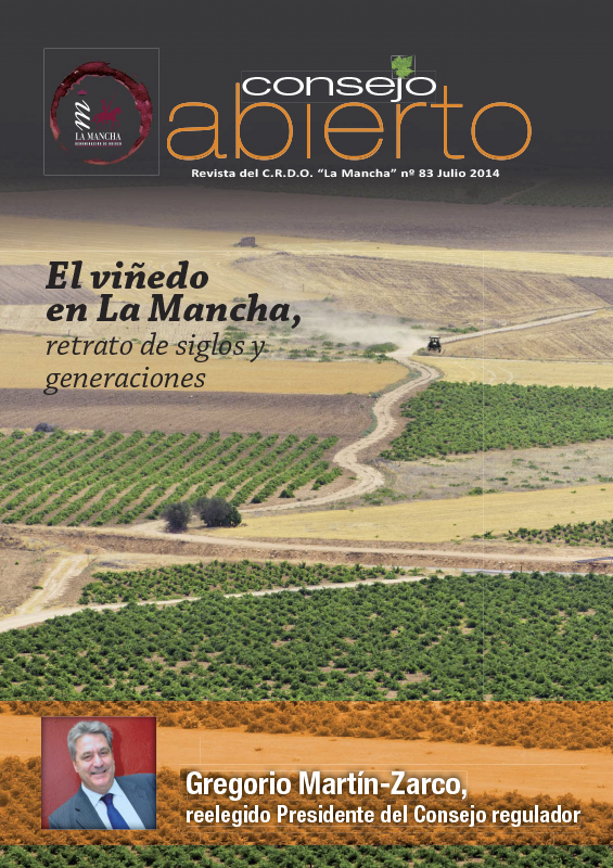 Consejo Abierto 83