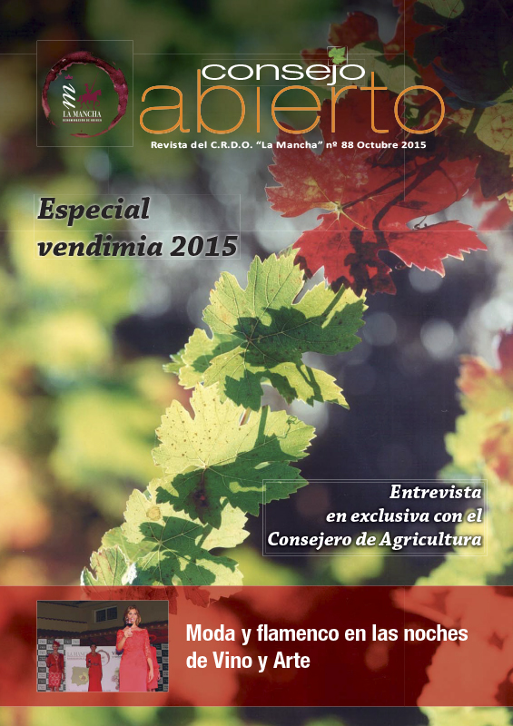 Consejo Abierto 88