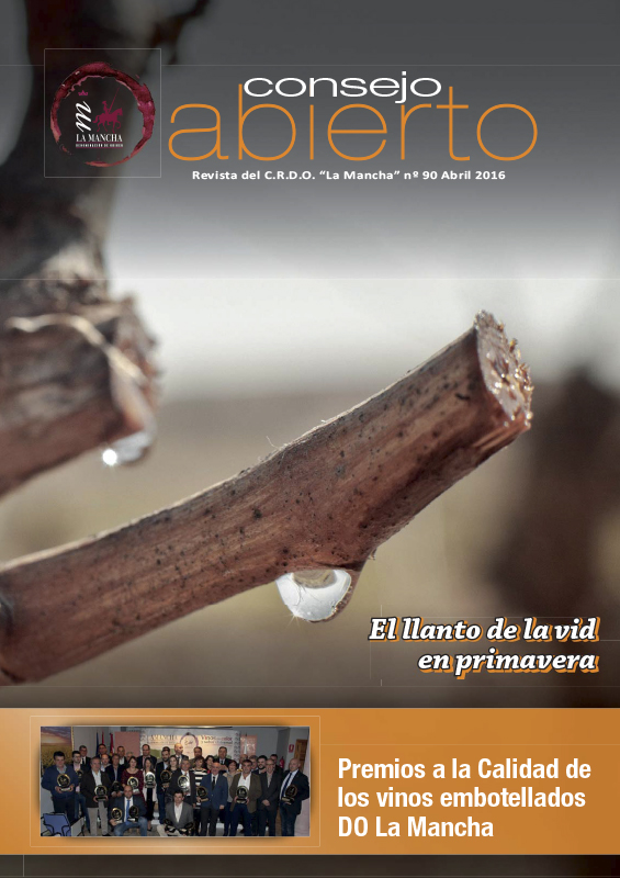 Consejo Abierto 90