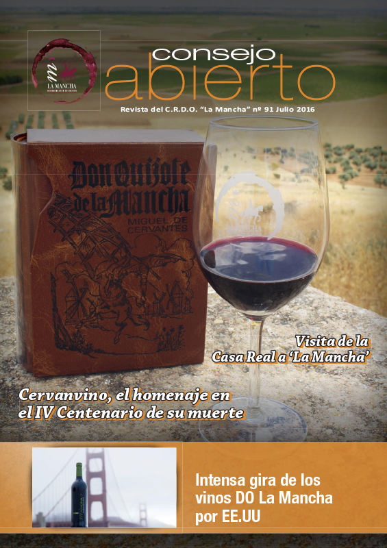 Consejo Abierto 91