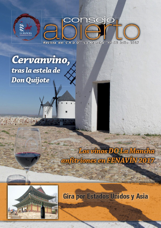 Consejo Abierto 95
