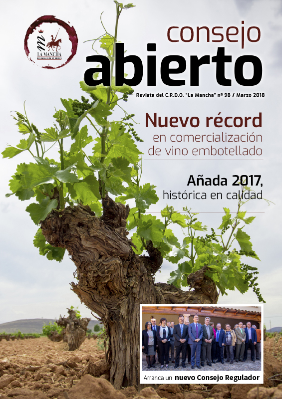 Consejo Abierto 98