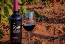 Las ventas de vino con DO La Mancha en 2020 alcanzaron los 73 millones de botellas