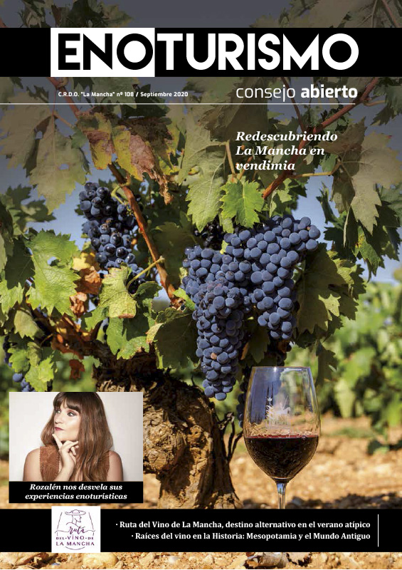 Revista Consejo Abierto 108