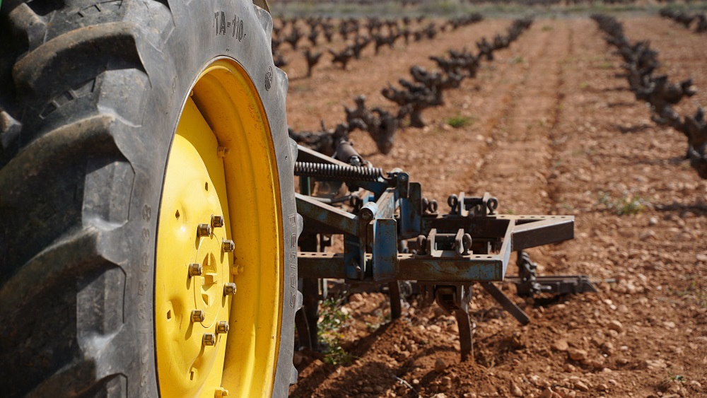 La media de hectáreas por viticultor inscrito ha crecido en los últimos años y se sitúa actualmente en 10,98