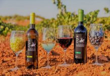 Variety, quality and traceability: the qualities of La Mancha wines