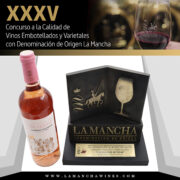 Castillo de Benizar - Premio vino rosado varietal Cabernet Sauvignon- Oro
