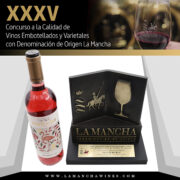 Puente de Rus - Premio vino rosado varietal Cabernet Moravia- Oro