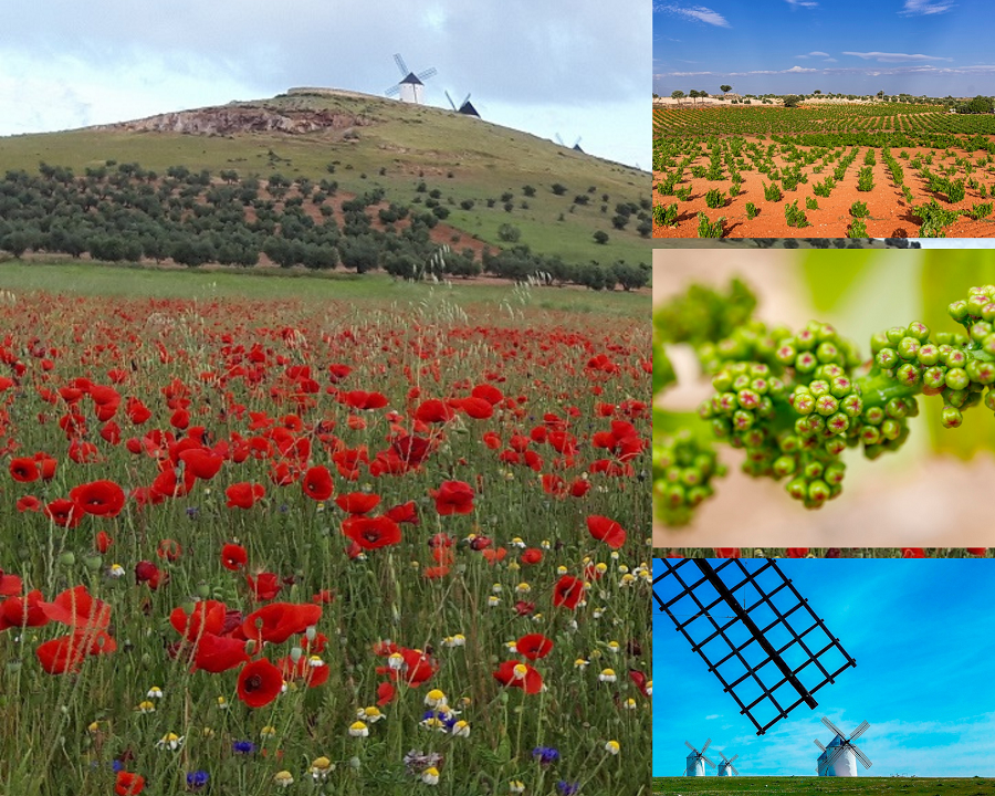 Seasons in La Mancha, spring