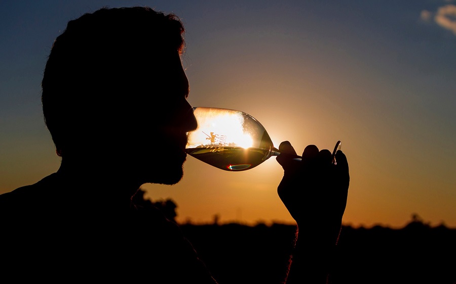 Gustatory phase, wines from La Mancha