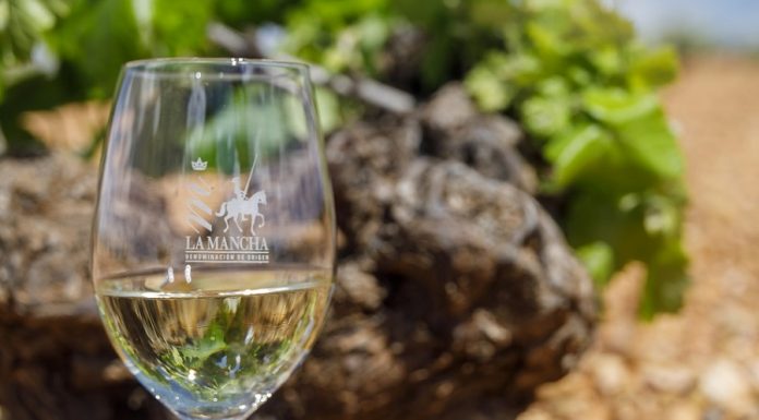 The 13 white varieties in La Mancha vineyards