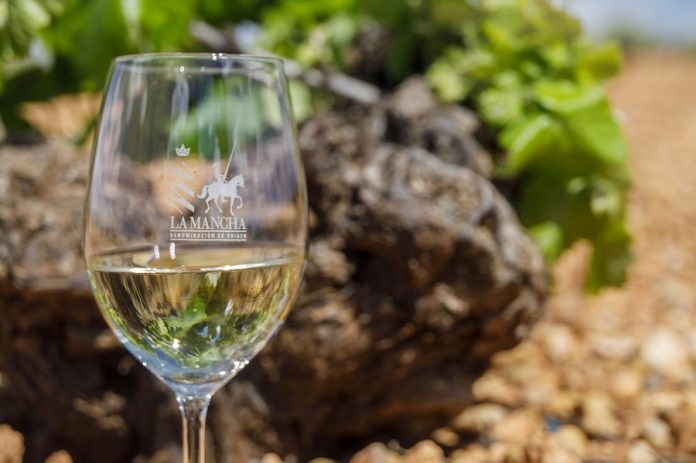 The 13 white varieties in La Mancha vineyards