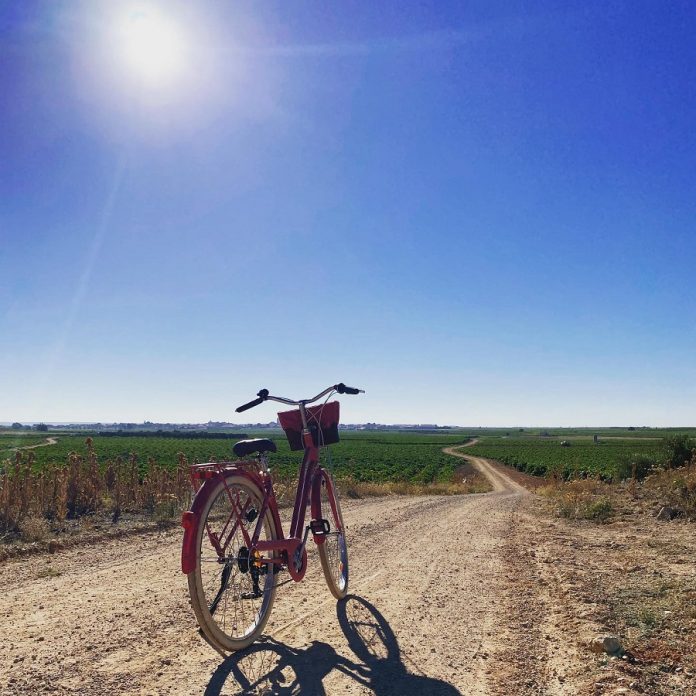 Una bicicleta en viñedo de La Mancha