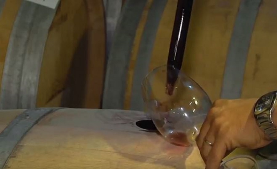 En La Mancha los enólogos realizan controles constantes para garantizar la calidad de los vinos