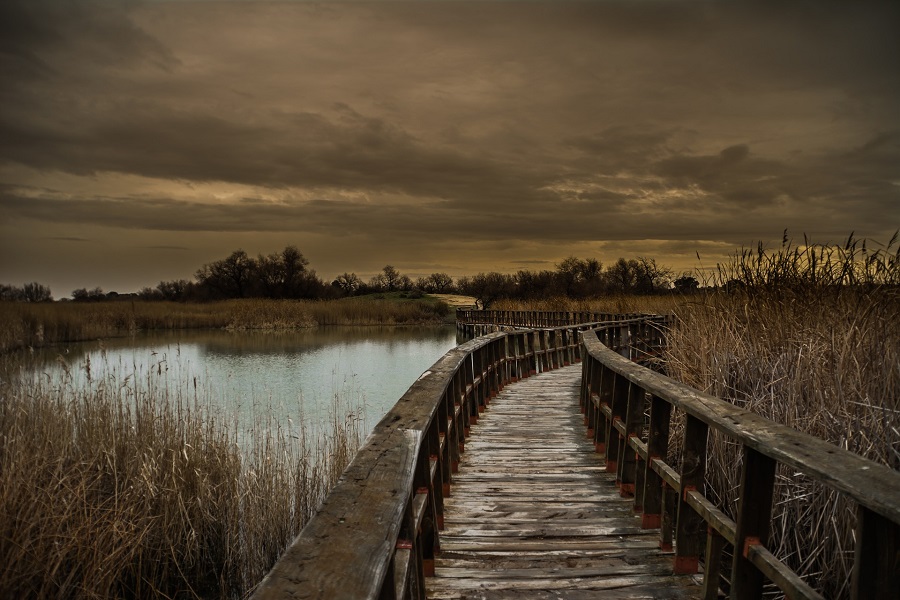 Tablas de Daimiel, a natural treasure to discover by travelling to La Mancha