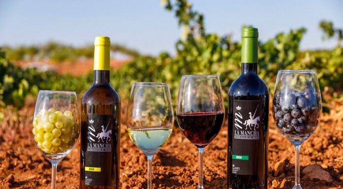ラ・マンチャのブドウ、ワイン、ブドウ園