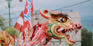 El nuevo año chino estará dedicado al dragón
