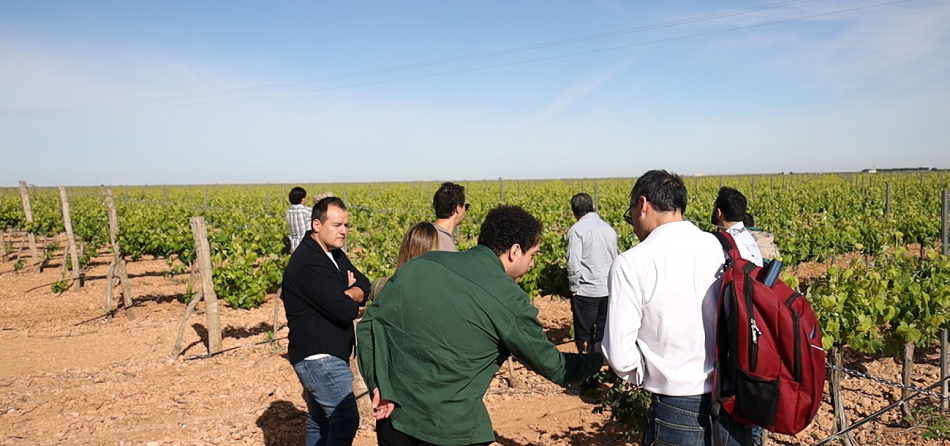 En la visita a viñedos manchegos