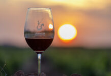 Los vinos de La Mancha saludan al verano con diferentes eventos