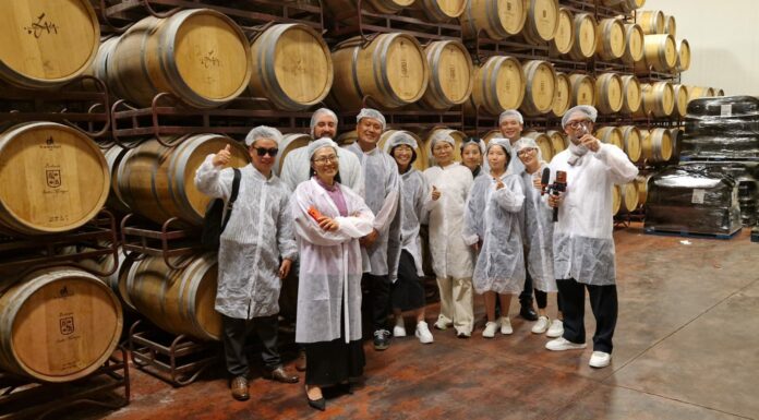 Misión inversa de importadores chinos en una bodega DO La Mancha