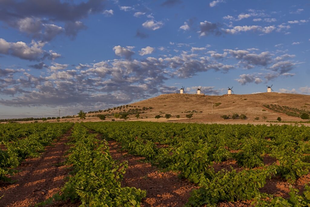 Imagen de los molinos de viento