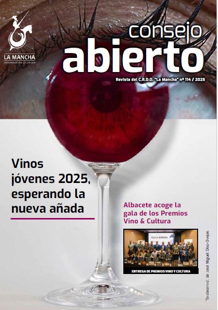 Portada Consejo Abierto 114