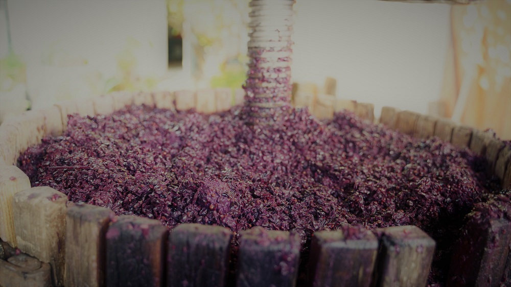 Presa antigua con uva tinta